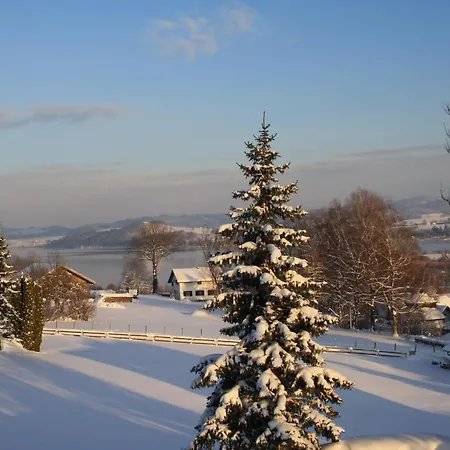 Inn Zur Seeburg