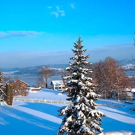Zur Seeburg Inn *